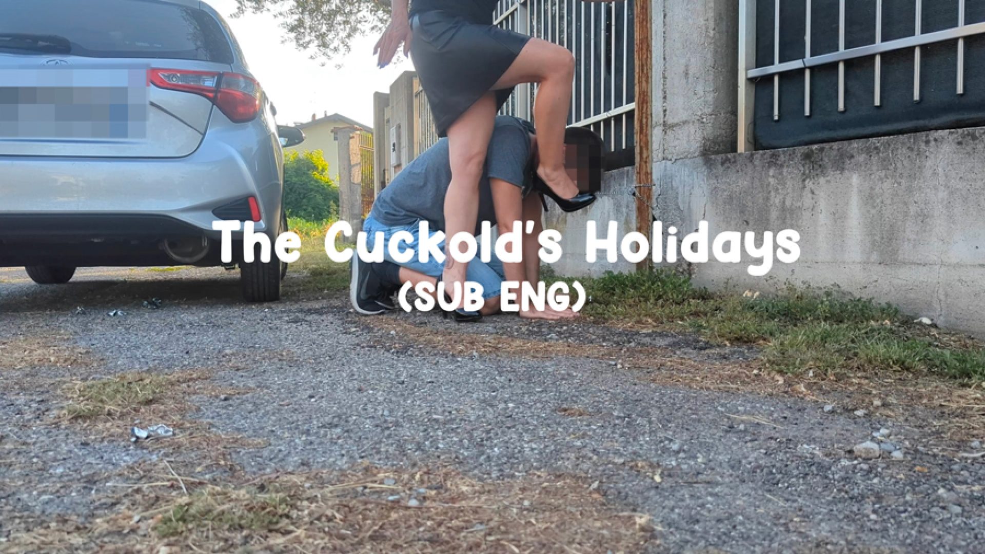 The cuck's holiday copertina